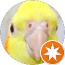Profilbild von „Barış Mutlu“