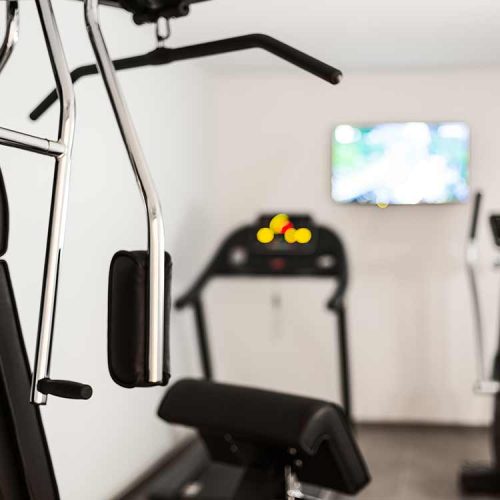 fitness